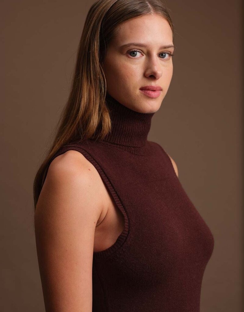 RICHARD TURTLENECK KNIT DRESS